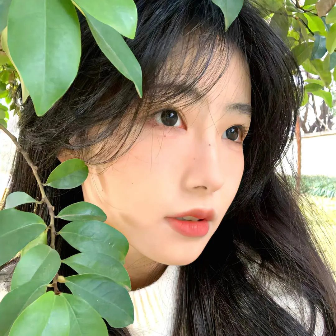 柏林一区